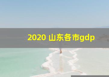 2020 山东各市gdp